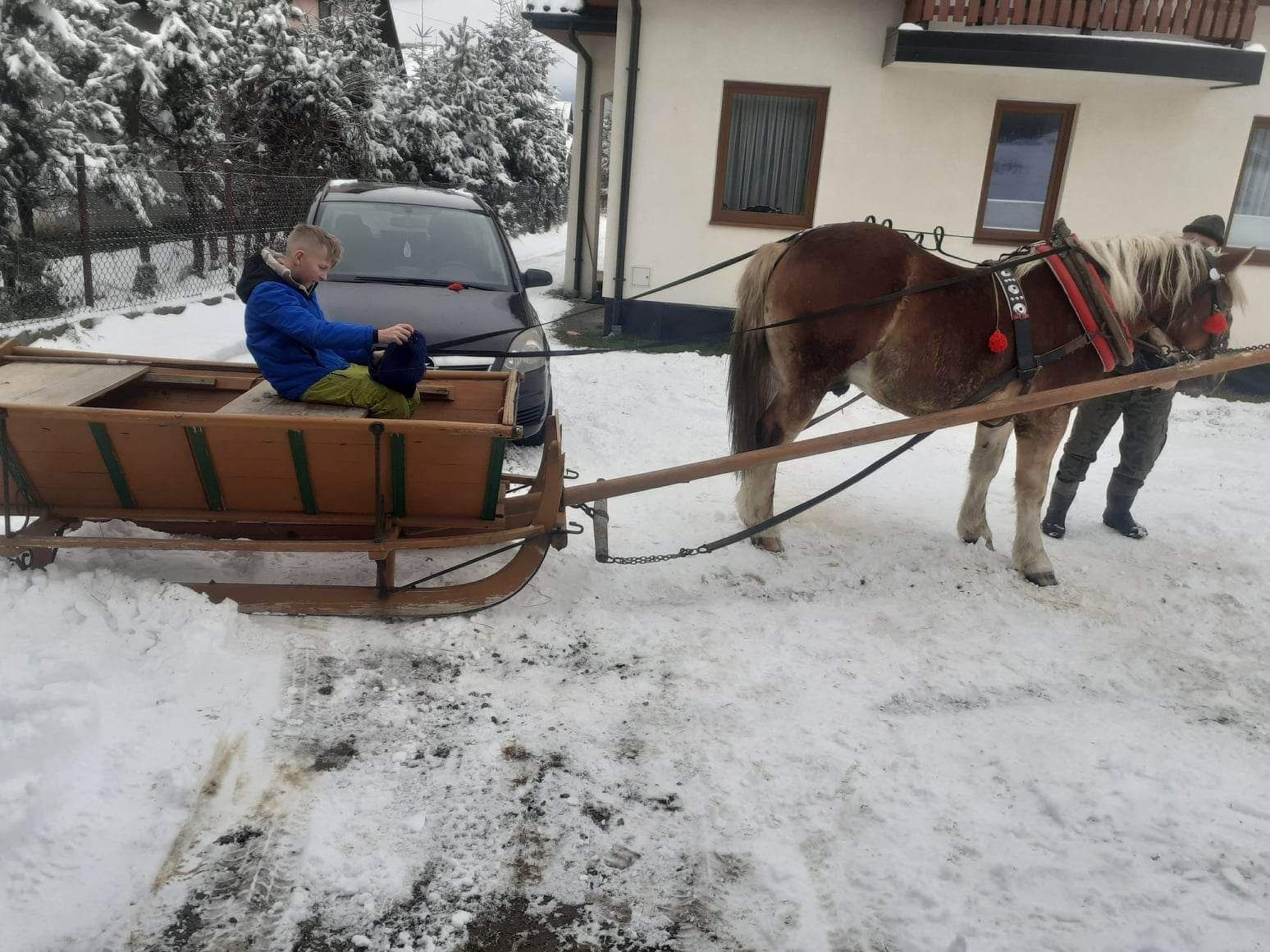 Bryczka  i sanie konne