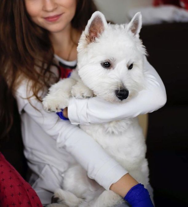 В'язка.Шукаємо наречену