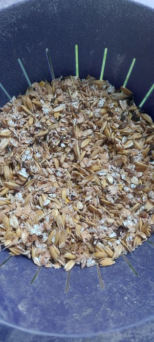 Walce do gniotownik do zboża