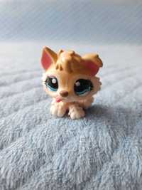 Figurka Littlest Pet Shop - Large Playset - Husky (#1013)