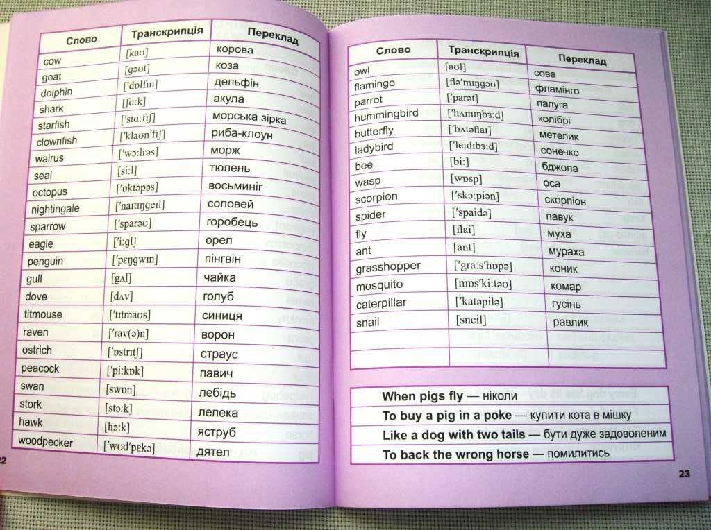 Детский словарь английского языка Англійський словник для дітей