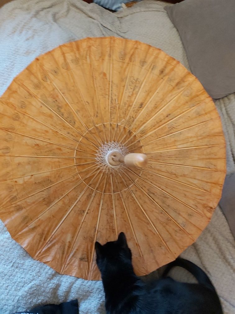 Parasol  orientalna chińska