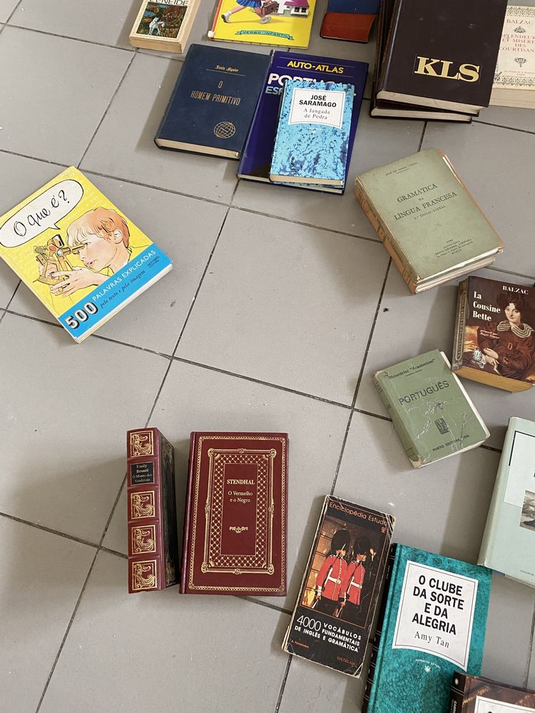 Diversos livros de lazer e dicionários
