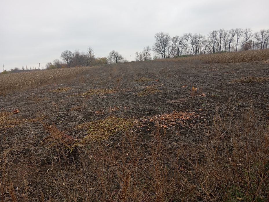 Продамо будинок Село Аджамка