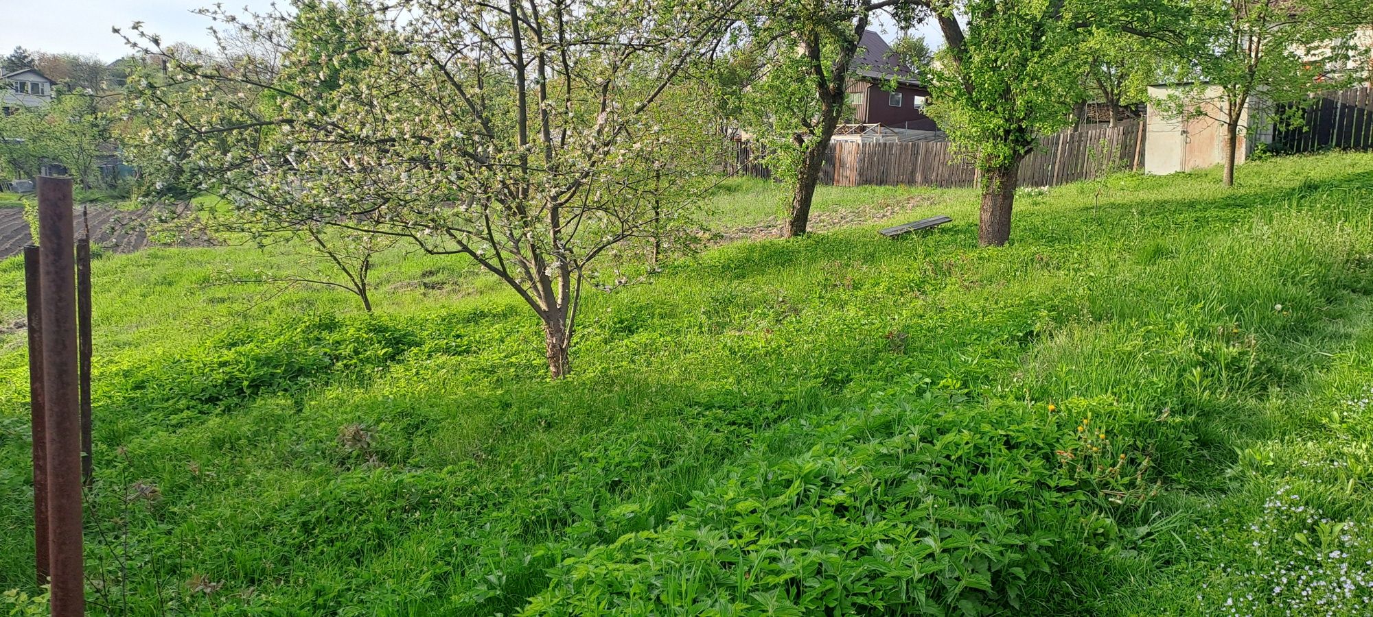 Продам дачу за вишкою