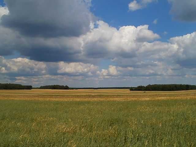 Oddam ziemię w dzierżawę