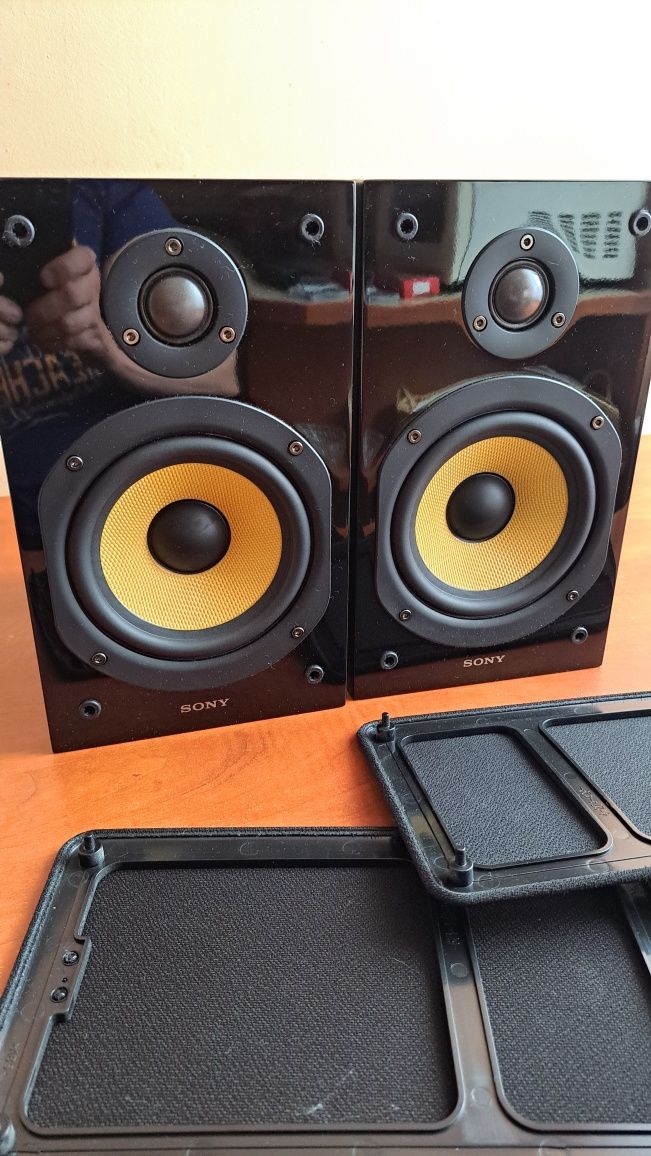 Głośniki Sony ss cg1