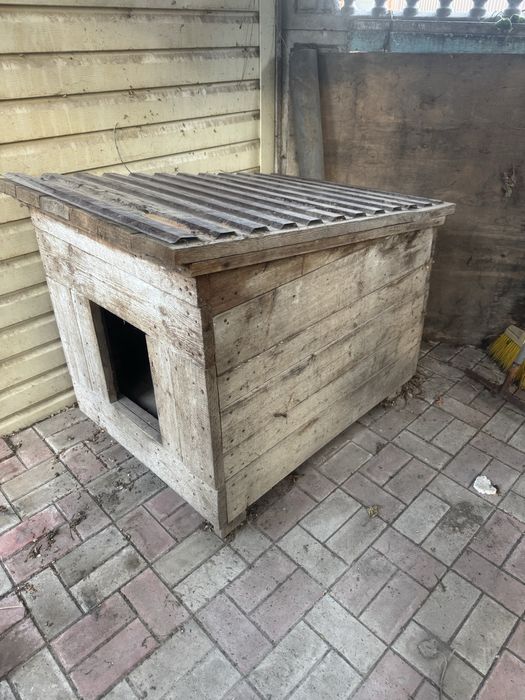 Буда  для великого собаки.