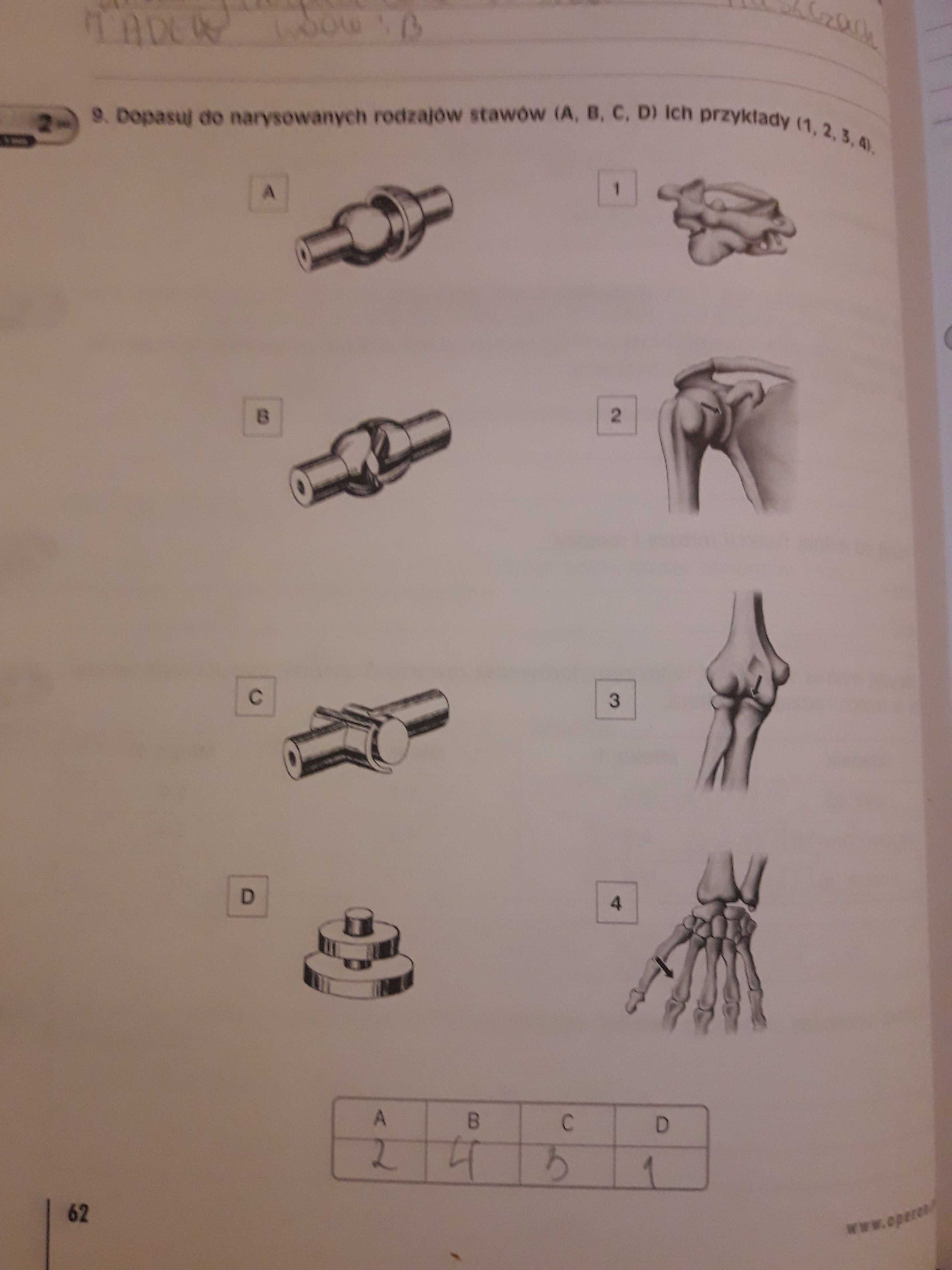 BIOLOGIA - Matura 2010