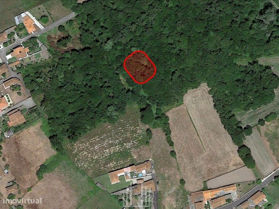 Terreno rústico - Murtosa