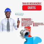 Sou pintor profissional