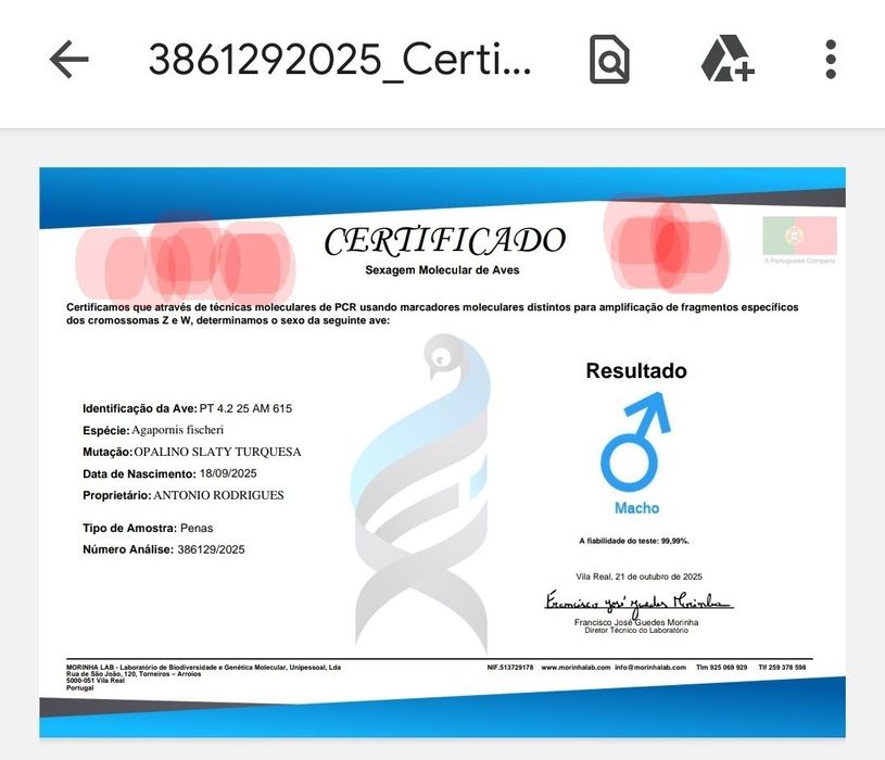 Fisheri opalino slaty turquesa