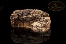 Półka skalna do terrarium lub akwarium RS-04