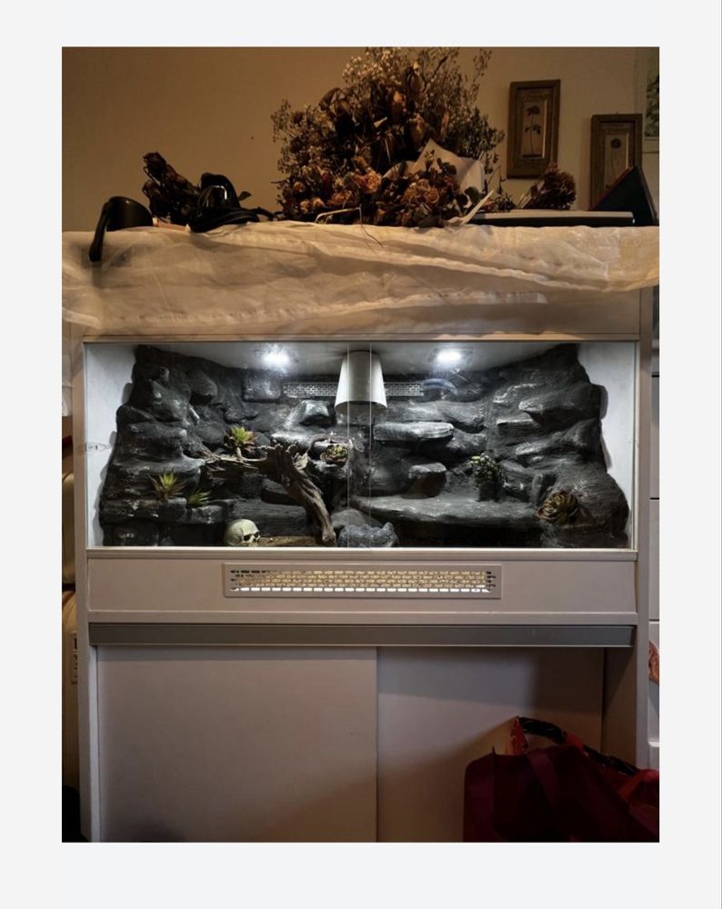 Wyjątkowe terrarium z szafką i gekonami