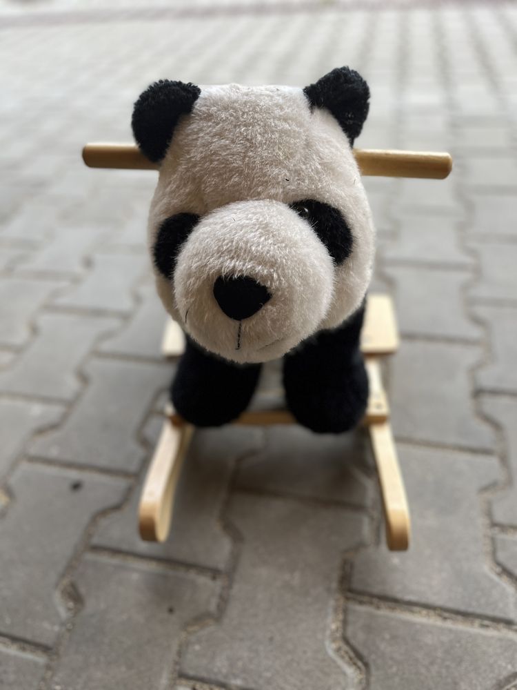 Bujak na biegunach miś panda