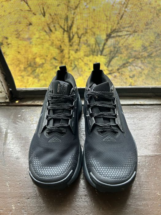 Чоловічі кросівки Nike Pegasus Trail 5 GTX Black Gore tex