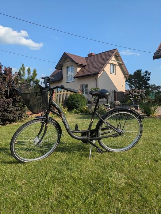 Rower Damski  Teamraider