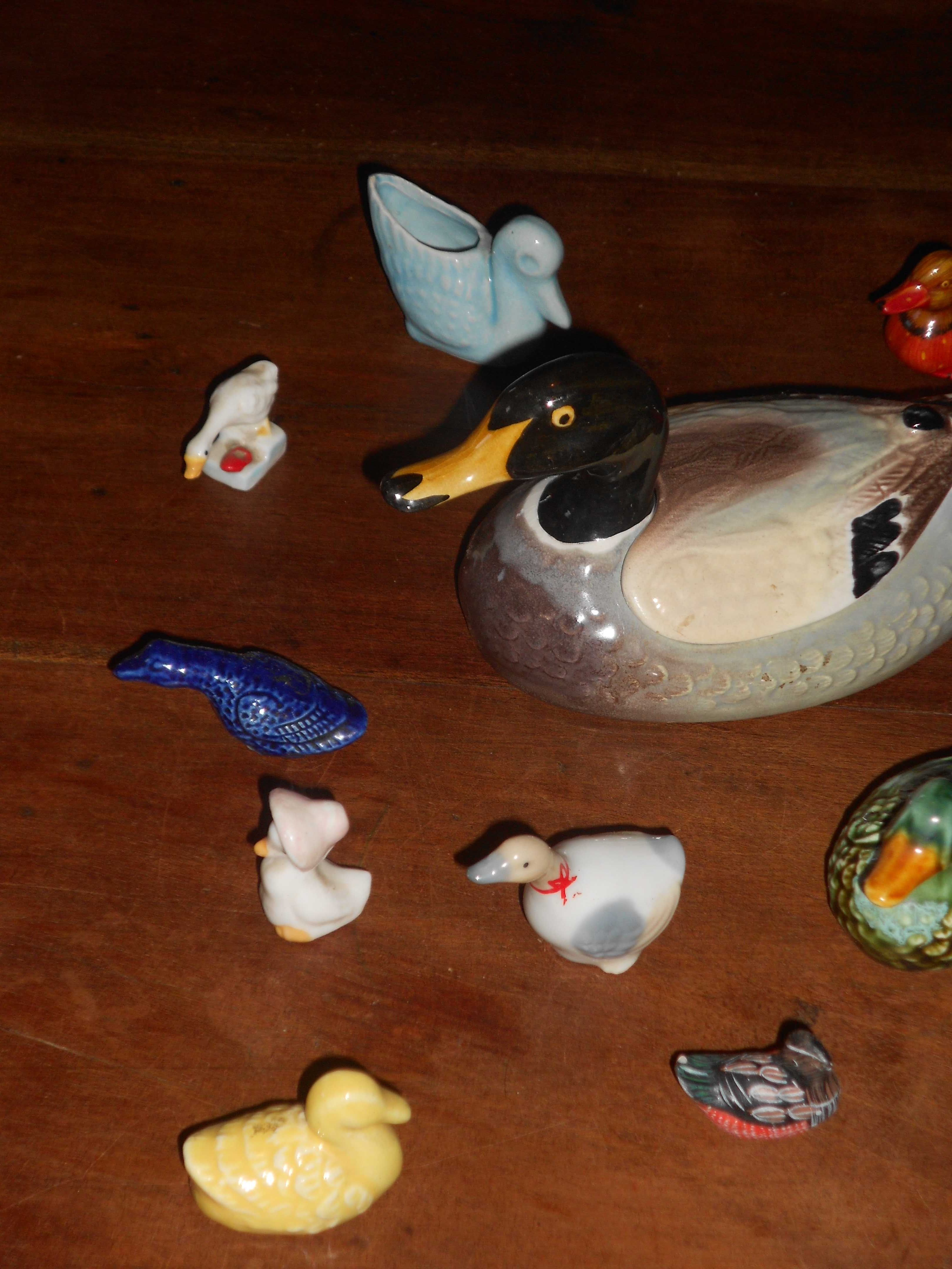 Diversos patos e gansos em loiça e latão