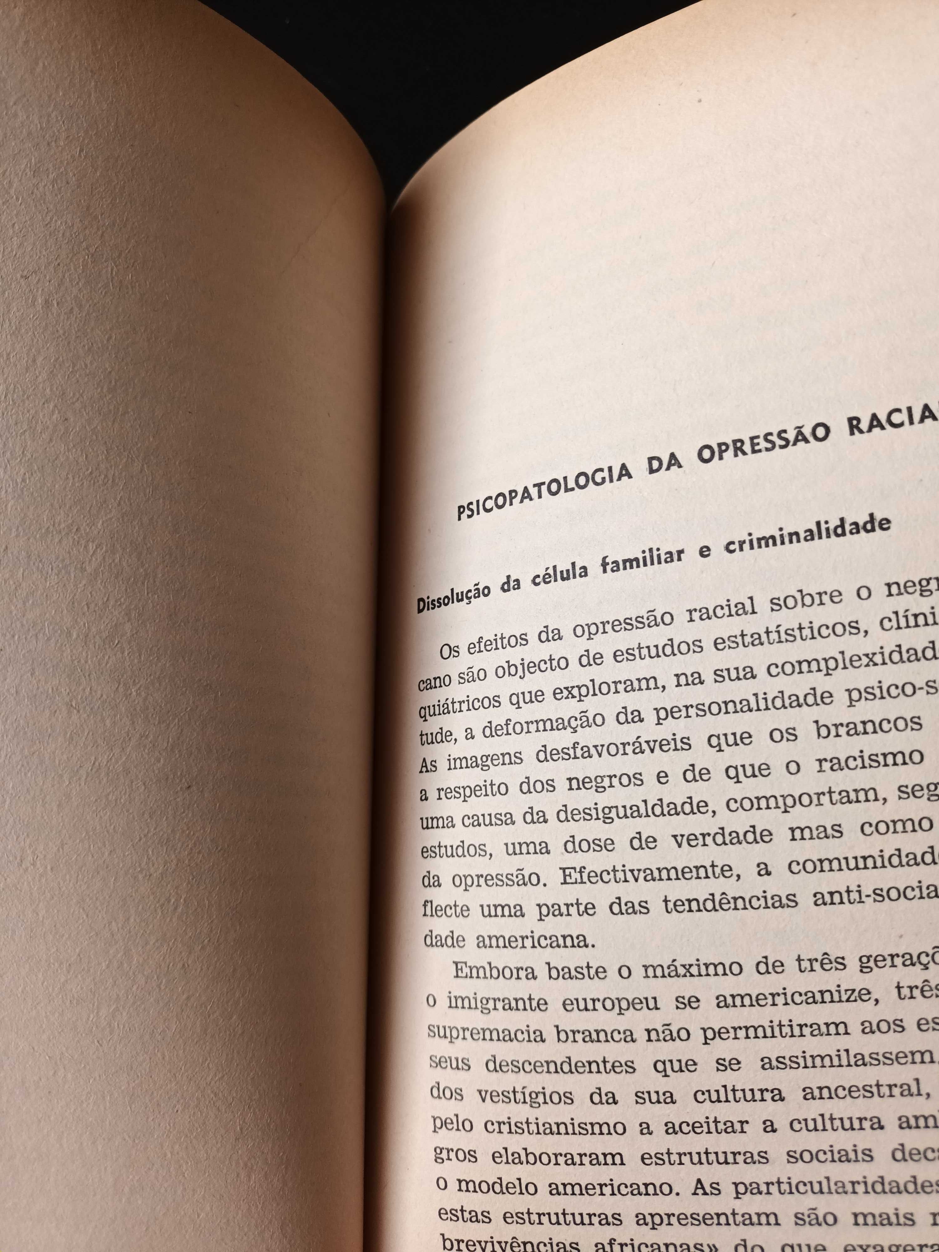 "Os Negros Americanos" por Michel Fabre