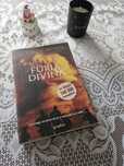 Fúria divina livro