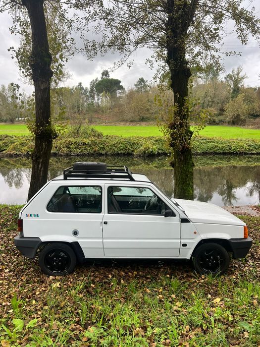 Fiat Panda young