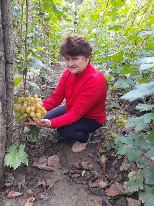 Виноград з гроною 140 грн