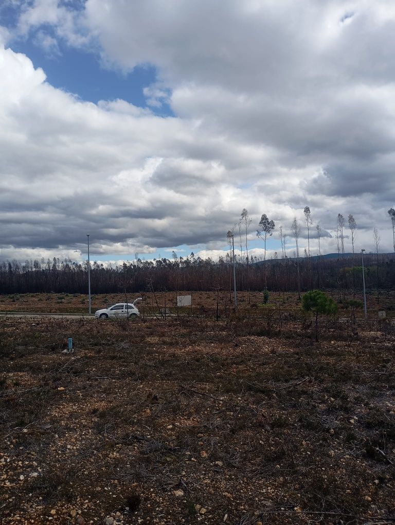 Terreno para construção Valongo do Vouga-Agueda