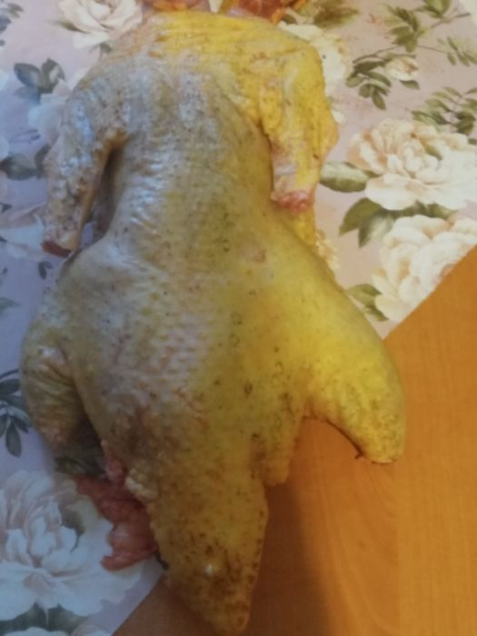Swojskie kaczki chowane od młodego