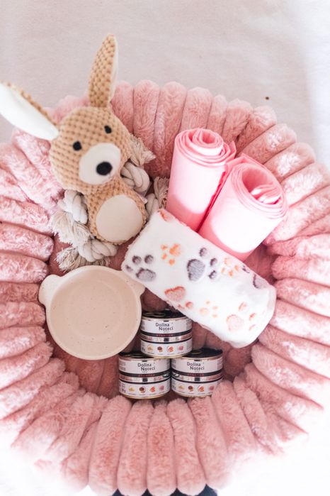 Maltańczyk z rodowodem i chipem / gotowy do odbioru z wyprawką