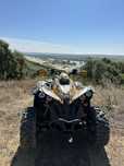 Can Am Renegade 1000