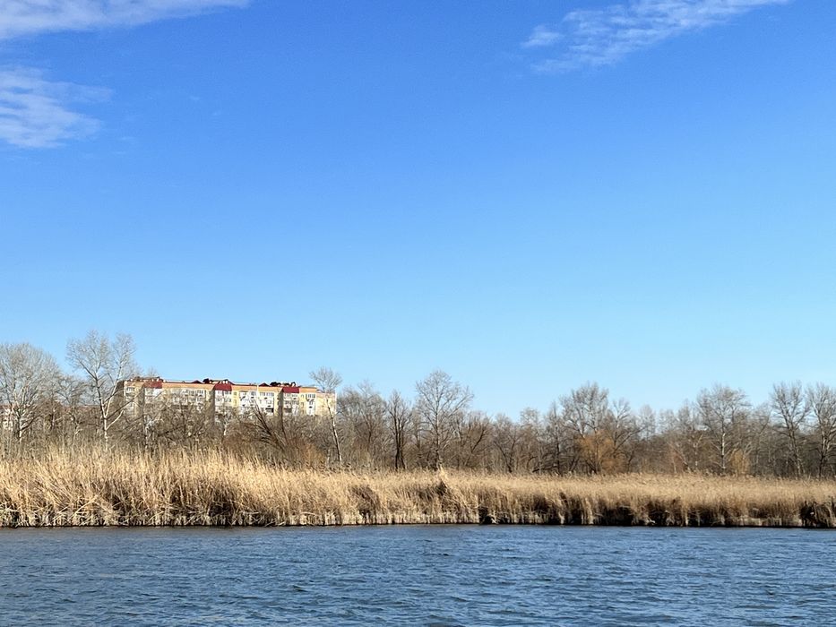 Затишна квартира біля озера та лісу
