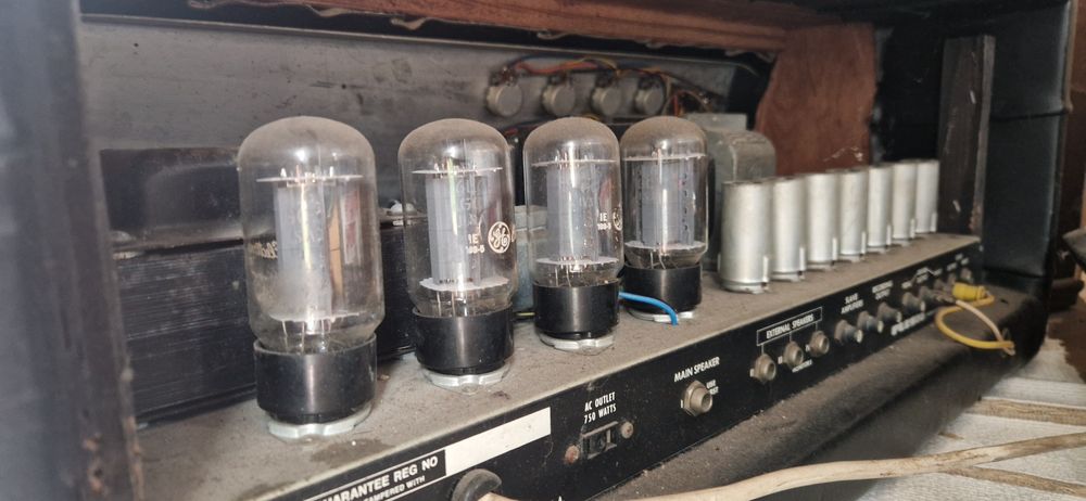 TPS Plush Congress IV