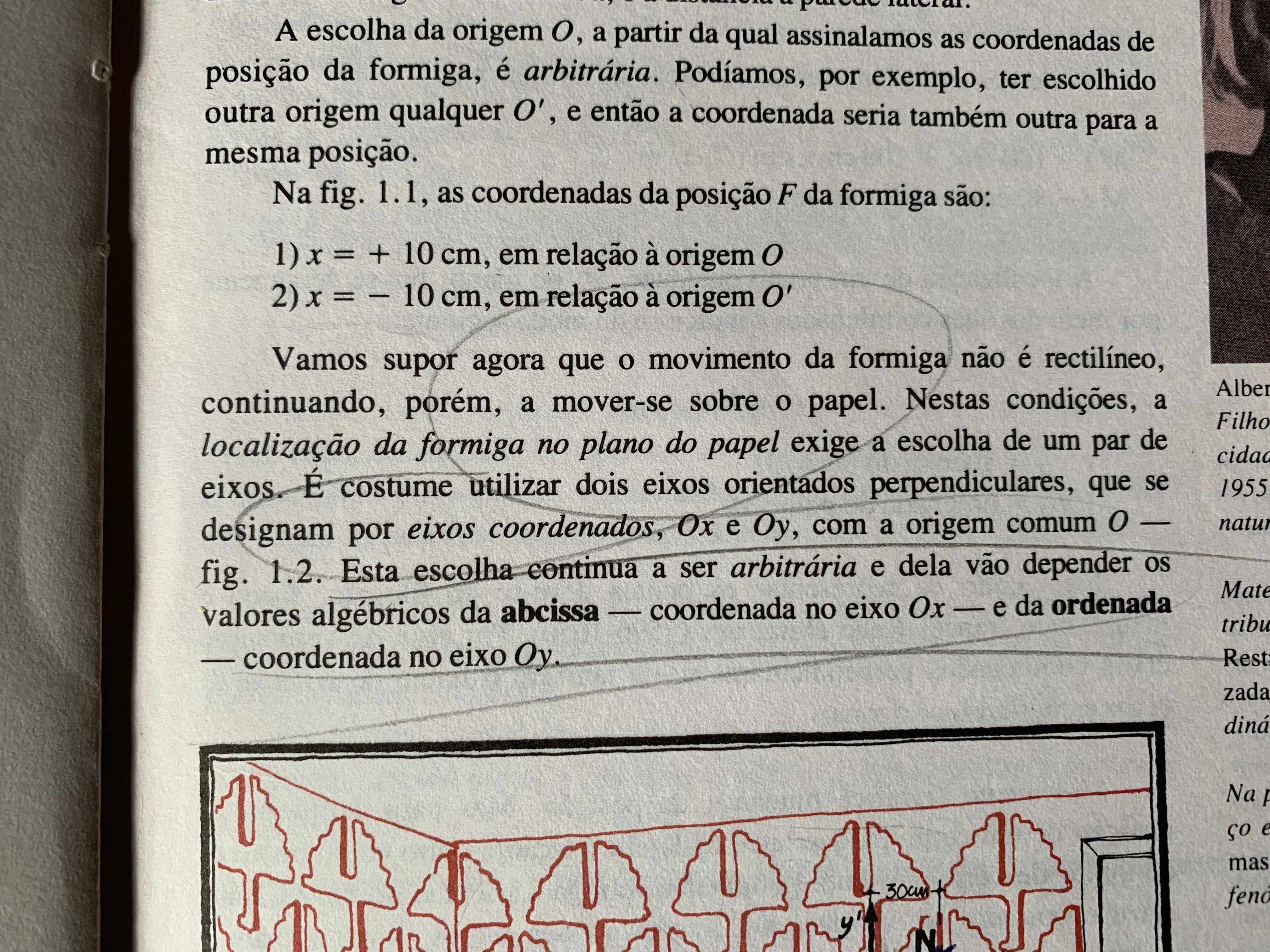 Manual de Física - 10º ano de escolaridade (1991)