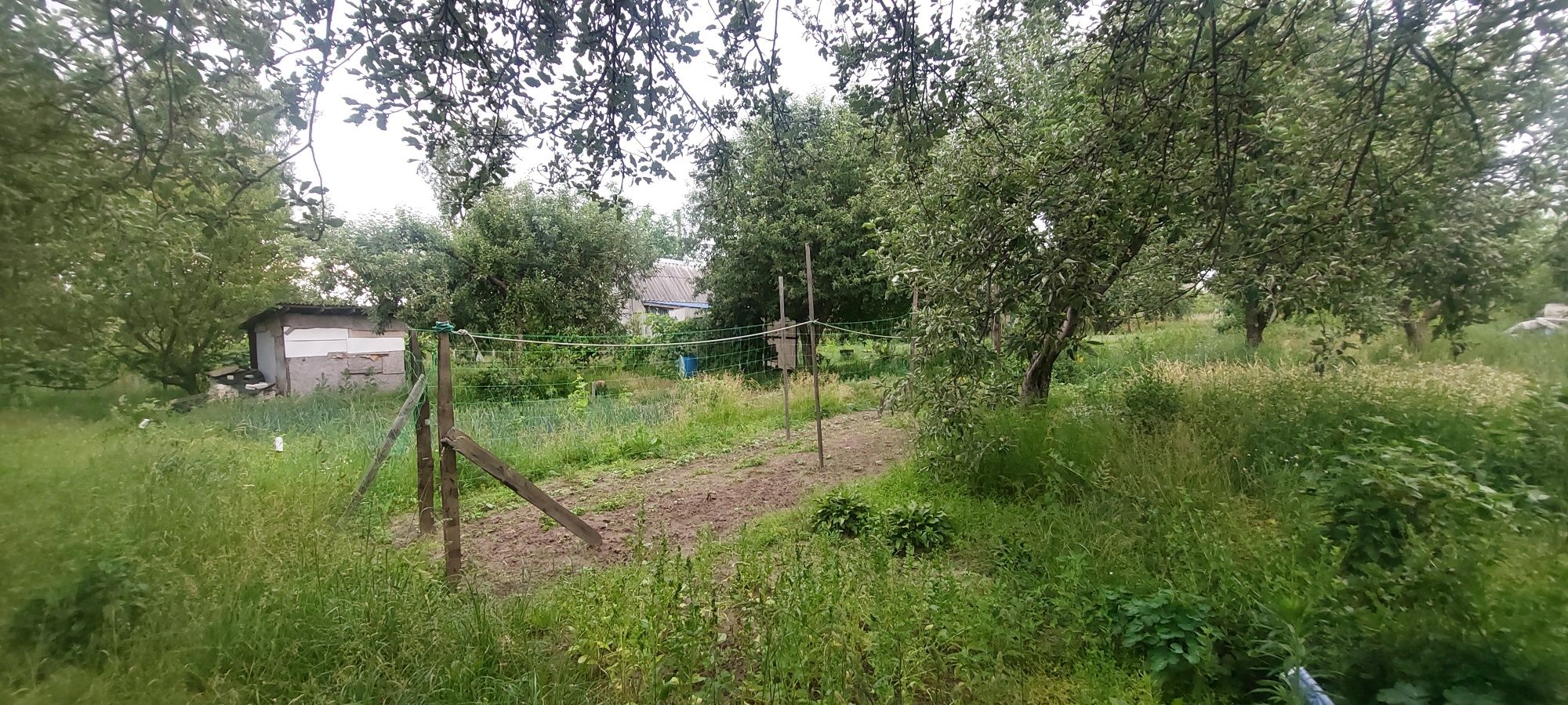 Продам дачный участок в Солоницевке
