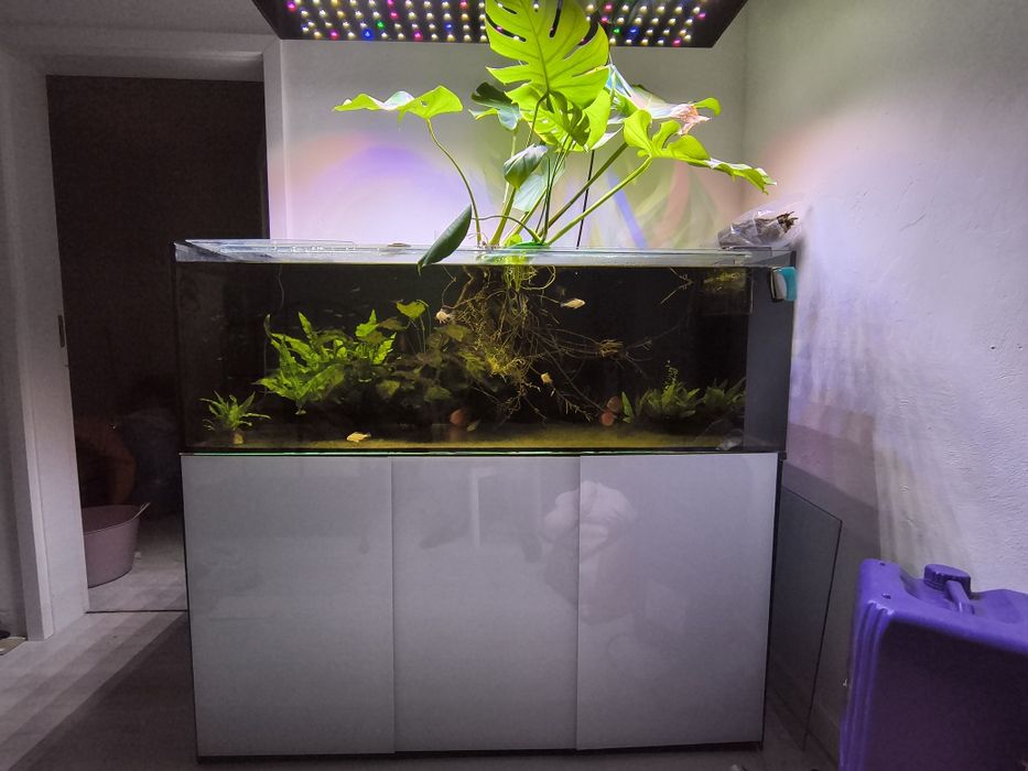 Akwarium 375 L same szkło