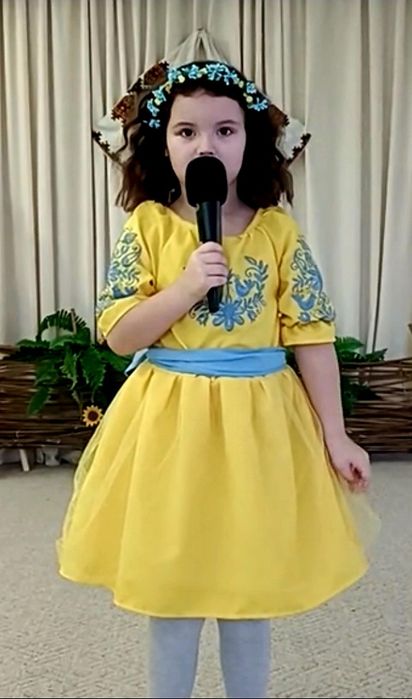 Сукня вишита, вишиванка