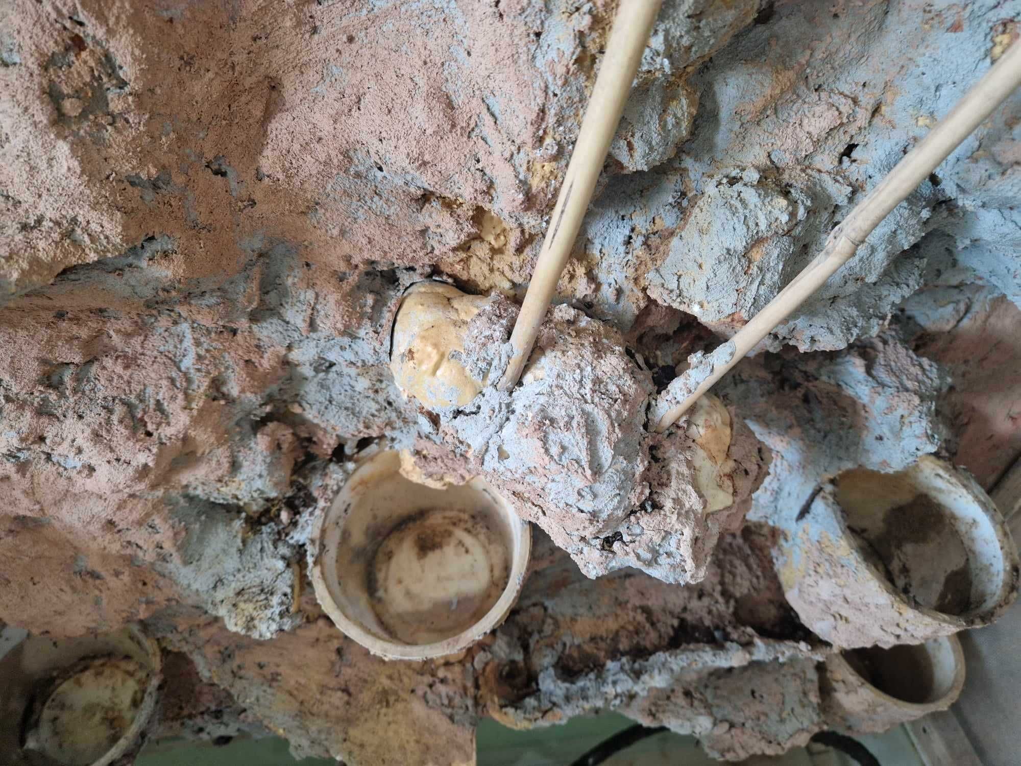 Duże terrarium dla kameleona i nie tylko, siatka