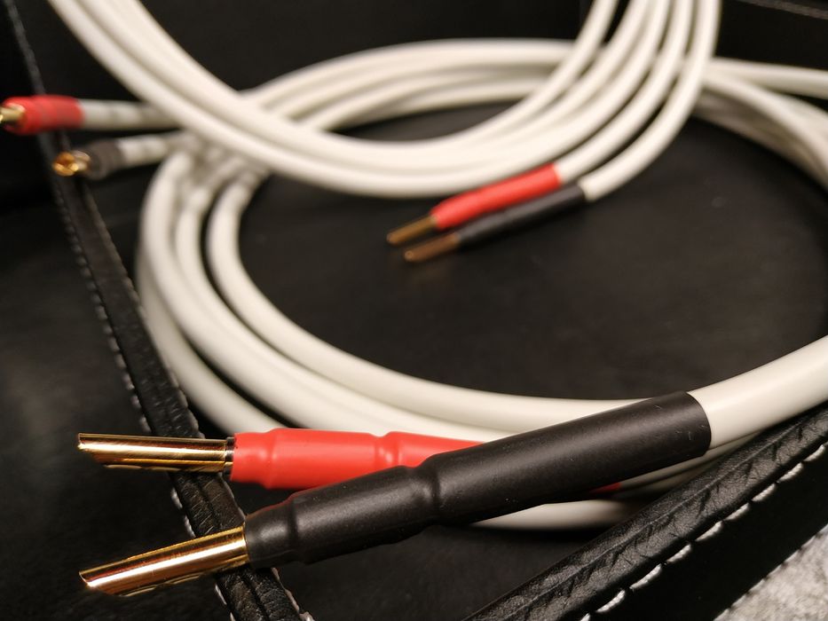 Chord Odyssey X Gemini wtyk kable głośnikowe Trans Audio Hi-Fi Wrocław