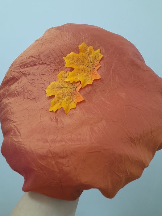 Шапка Гриб Боровик, підосичник, підберезовик. Шапка Гриба