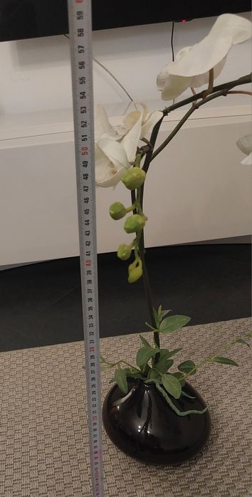 Vaso com orquídea
