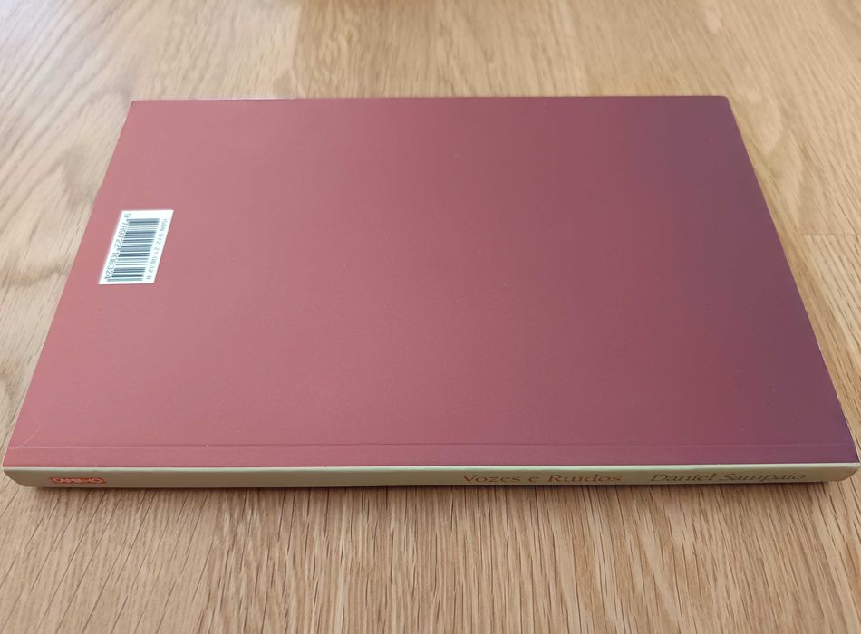 Daniel Sampaio - Vozes e ruídos (Diálogos com adolescentes)