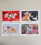 Postais  animais