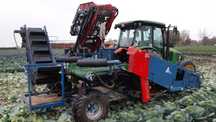 Kombajn do Kapusty Asa-Lift MK-1000