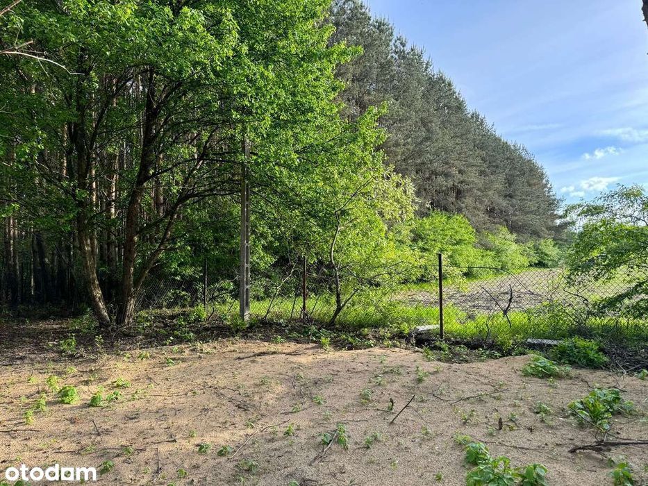 Działka budowlana | 1240 m² | Przy lesie | Ogrodzona