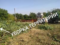 Корчевка пней территории,уборка участка.Спил дерева.дробение  Покос