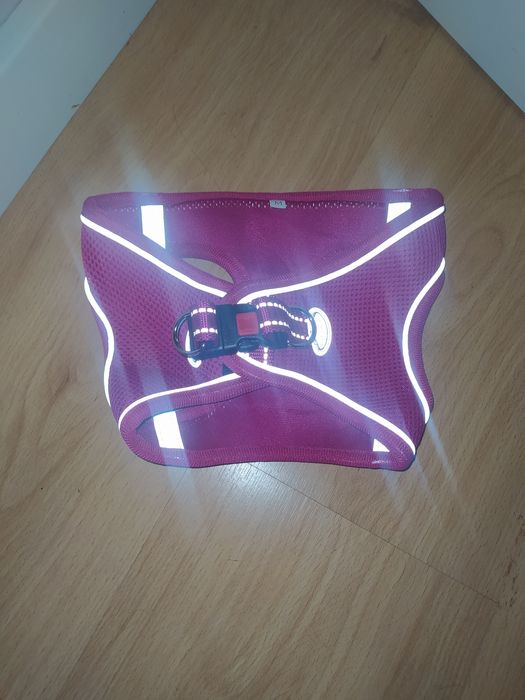 Coleira Nova para cão porte pequeno