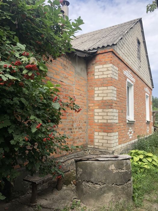 Продам дом в Левковке (2 дома)