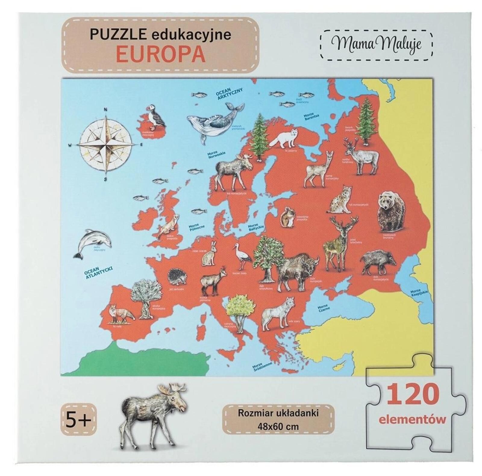 Puzzle edukacyjne Europa 120el pudełko,271x271 mm