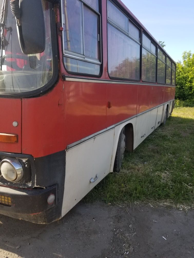 Автобус Терміново Ікарус 256 Ikarus