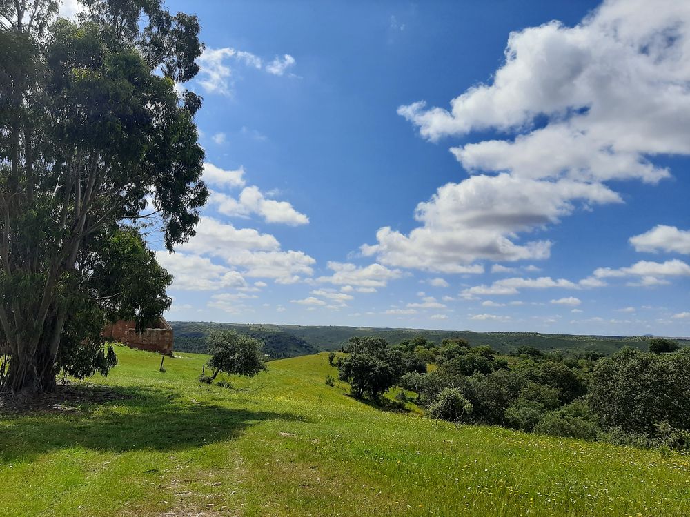 Propriedade alentejana